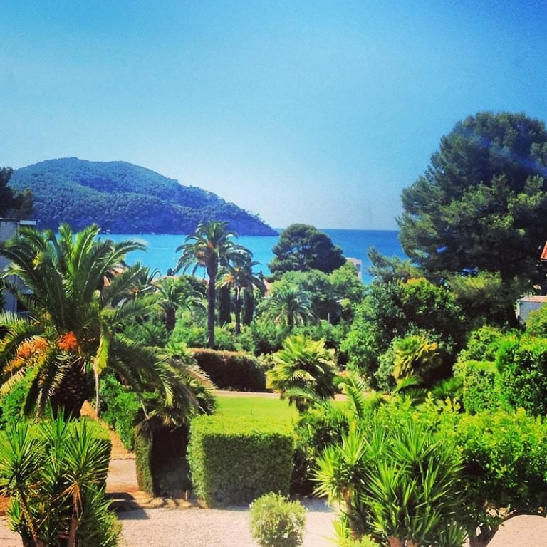 Jardin verdoyant avec palmiers, vue sur mer bleue et colline boisée sous ciel clair, évoquant l'accompagnement Gestalt.
