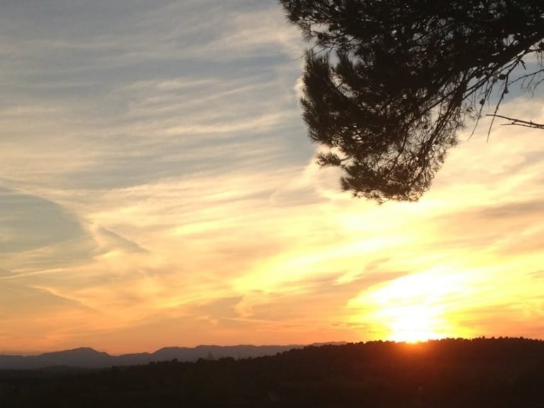Coucher de soleil sur montagnes lointaines, ciel orangé avec nuages fins, branche en silhouette. Gestalt-thérapie.