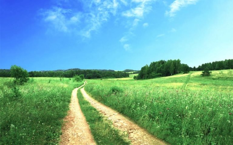 Route Gestalt therapie
