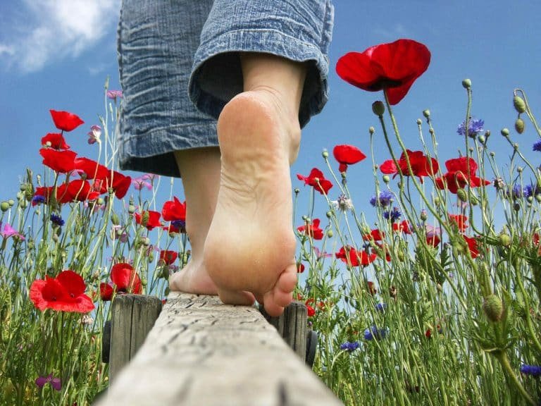 Une personne marche pieds nus sur une bordure, au milieu des coquelicots.