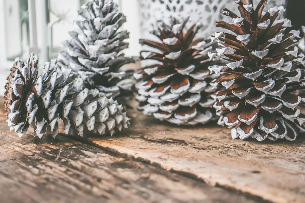 Four pine cones with white-tipped edges rest on a rustic wooden surface, while a blurred, patterned background evokes the cozy comfort often sought in moments of dépendance affective, adding to the wintry charm of the scene.