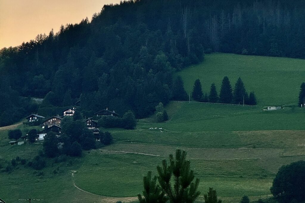 Vallée verte au crépuscule, prairies et forêt