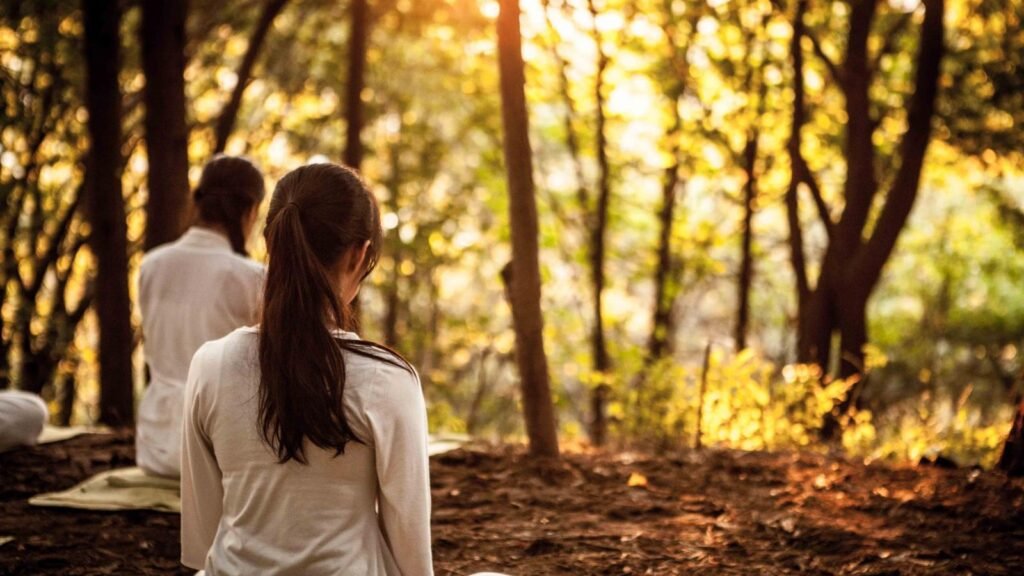 Deux personnes en méditation dans une clairière de la forêt, baignées d'une lumière dorée, illustrant l'accompagnement thérapeutique.