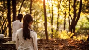 Deux personnes en méditation dans une clairière de la forêt, baignées d'une lumière dorée, illustrant l'accompagnement thérapeutique.