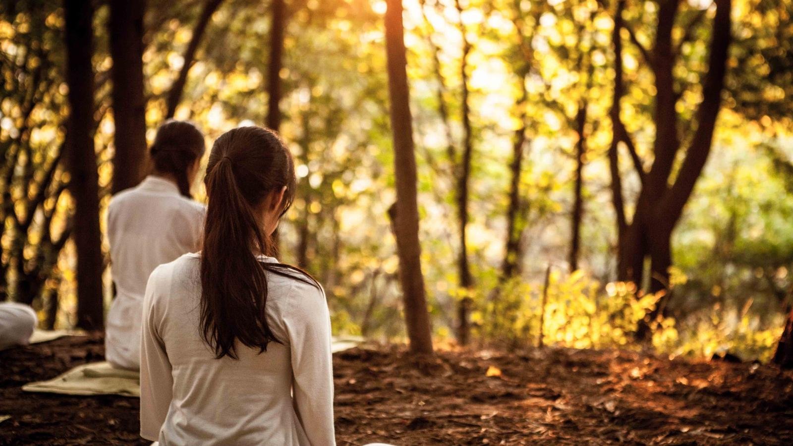 Deux personnes en méditation dans une clairière de la forêt, baignées d'une lumière dorée, illustrant l'accompagnement thérapeutique.